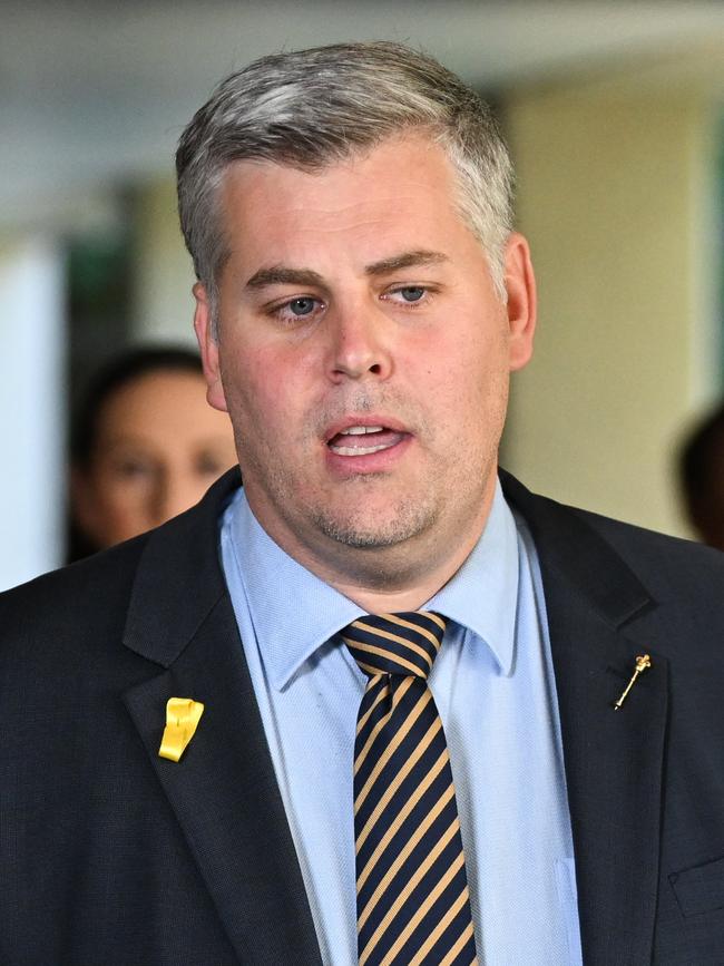 Queensland Police Minister Mark Ryan has asked for the review. Picture: Dan Peled / NewsWire