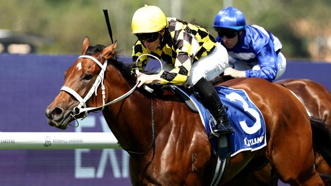 Autumn Glow made a winning return in the Darby Munro Stakes at Rosehill. Picture: Getty Images