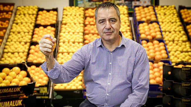 Horticultural Coalition of SA chairman Angelo Demasi is urging Adelaide residents to take steps to prevent fruit-fly spreading. Picture: MIKE BURTON