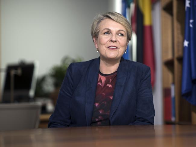 Minister the Environment and Water Tanya Plibersek. Picture: NCA NewsWire / Gary Ramage