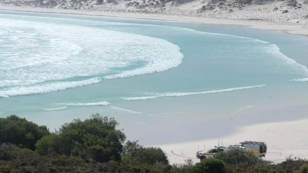 Wharton Beach, WA: Witnesses recount horror moment surfer attacked by ...