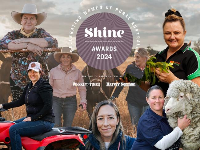 shine nominees 2024 finalists list