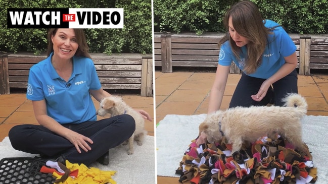 How to make a snuffle mat for your dog