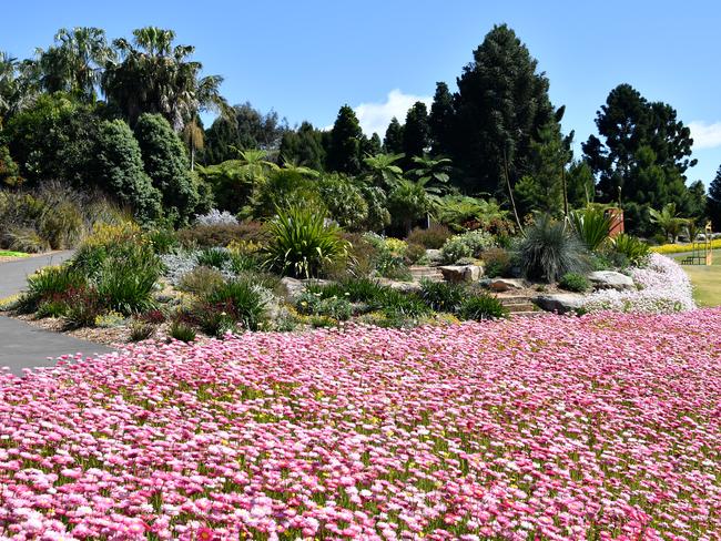 The Australian Botanic Garden in Mt Annan.