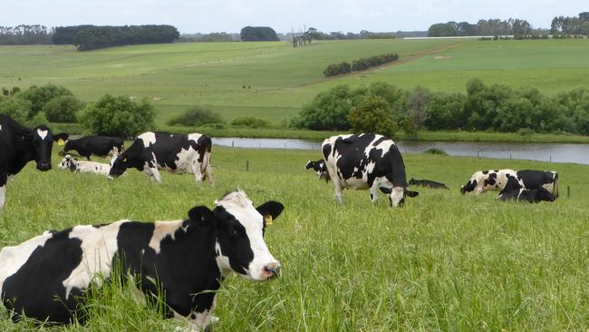 Dairy pictured in Cobden. Picture: supplied WT