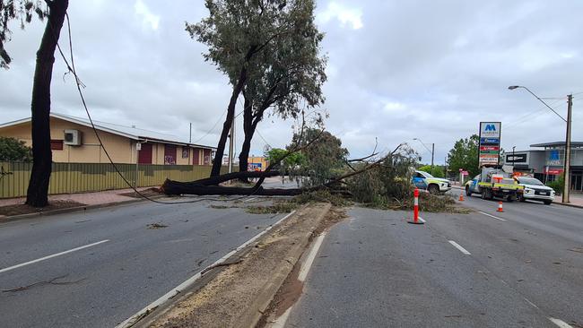 A massive tree down at the corner of Lower Portrush Road and Payneham Road in Marden, which brought down powerlines and closed one of Adelaide's busiest intersections and truck thoroughfares. Picture: Andrew Hough