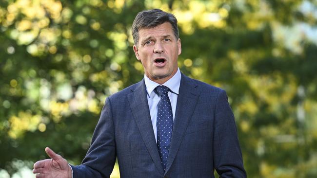 Shadow Treasurer Angus Taylor. Picture: NCA NewsWire / Martin Ollman