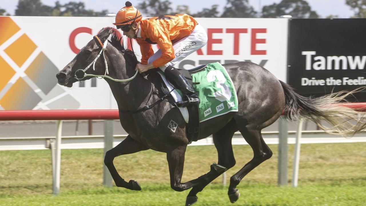 The Kris Lees-trained Memoria is a noted fresh performer and can make her presence felt in the final race at Randwick on Saturday. Picture: Bradley Photos