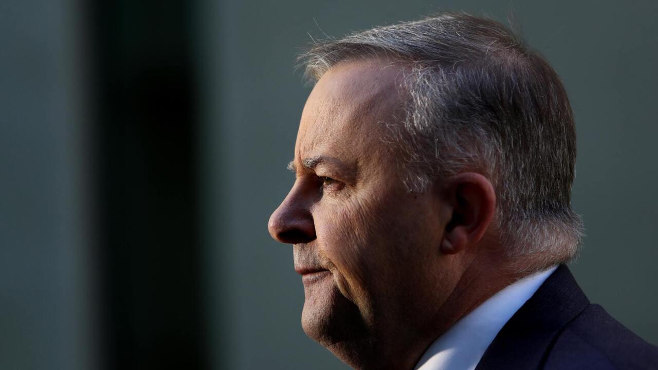 Albanese's National Press Club address a 'good mix' of optimism and critique