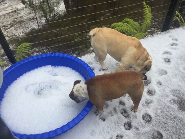 Hail at Orford. Picture: MELANIE ROTTIER