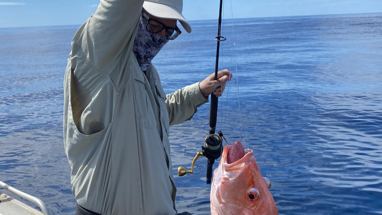 Sunshine Coast fishing report: Scott Hillier shares his tips
