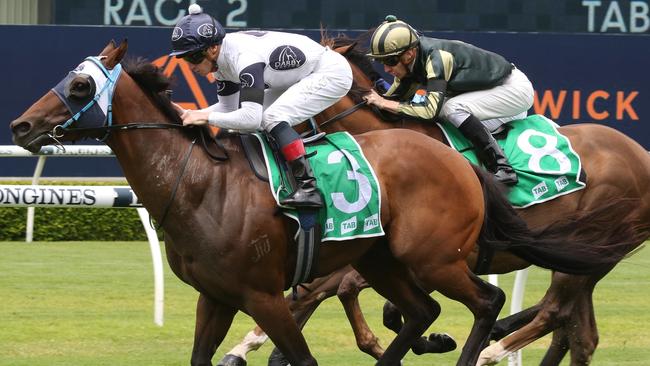 Titration (Green and Gold) finishing a close second to Super Extreme in a TAB Highway. Picture: Grant Guy