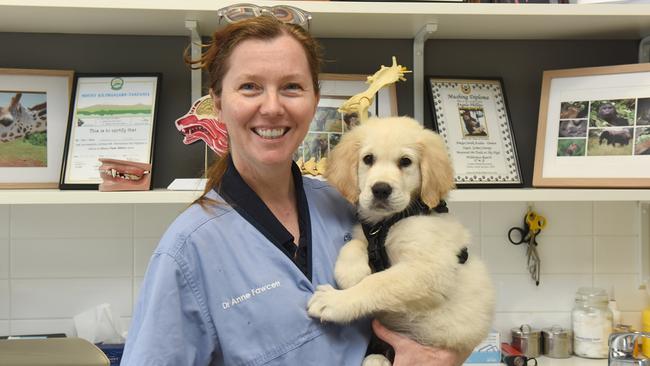 “We think of having pets today as a real commitment, that is, you have a pet for life, which is a good thing because we tend to look after them very well,” says Dr Anne Fawcett.