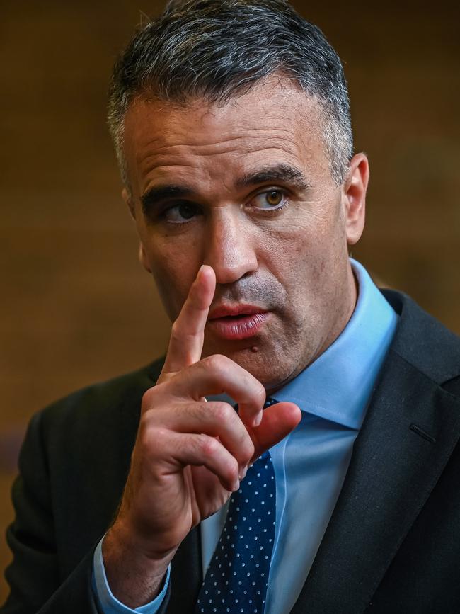 South Australian Premier Peter Malinauskas. Picture: NCA NewsWire / Naomi Jellicoe