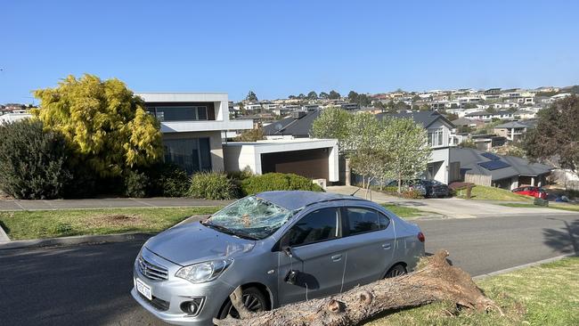 Damage from the storm at Caudry Crescent in Highton.