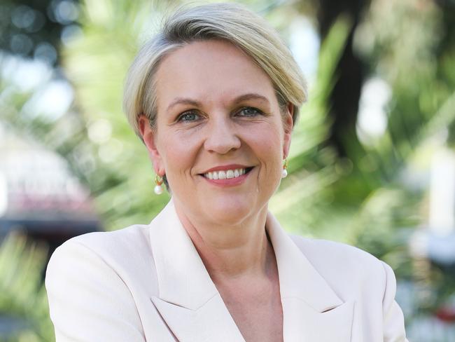 Tanya Plibersek is under fire for vetoing a $1bn goldmine in the NSW Central West on Indigenous heritage grounds. Picture: Gaye Gerard