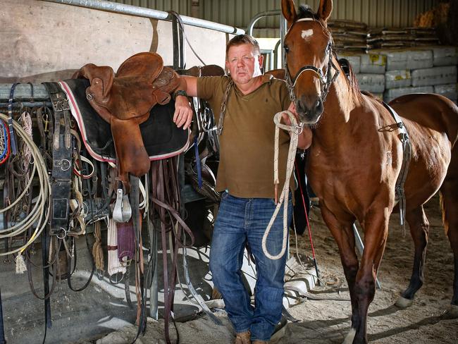 Albury horse trainer Brett Cavanough was pre-trainer and horse breaker for Moody. Broke-in Black Caviar. Had to let 12 staff go. Pictured with All Too Hard.