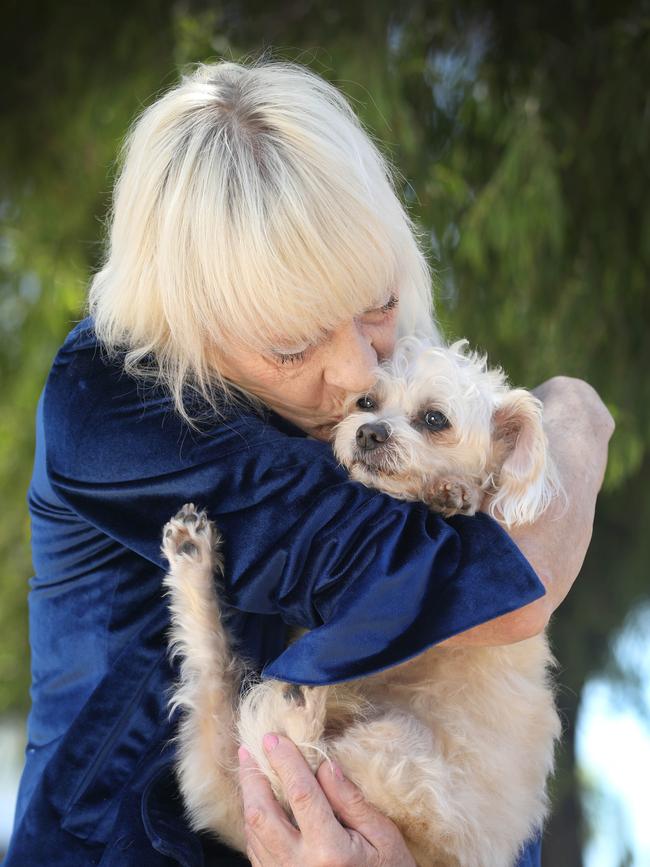 Chey Laine and her dog Sid, who is recovering after he was almost killed in late December last year by a larger dog. Picture: Dean Martin