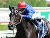 Ghisoni set to create history in Coolmore
