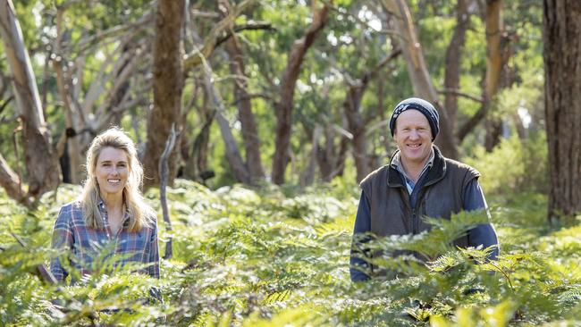 A huge swath of land at Glenthompson has remained locked up and untouched by human hands, resulting in a patch of land rich in biodiversity and native species. Picture: Zoe Phillips