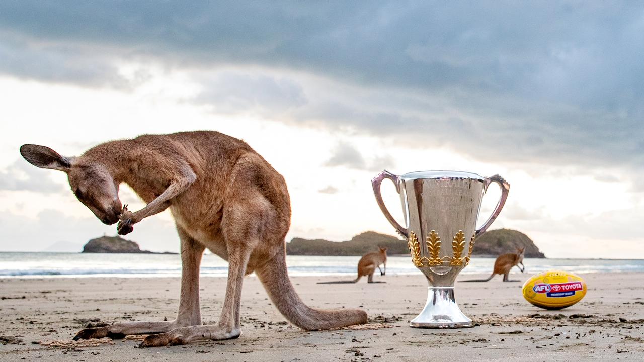 afl cup tour