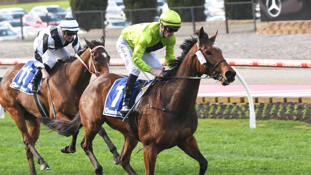 Dashing Duchess can improve significantly on firmer footing in the Group 2 Herbert Power Stakes at Caulfield. Picture: Racing Photos via Getty Images