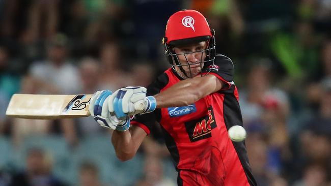 Beau Webster launches into a pull shot for Melbourne Renegades. Picture: Matt King/Getty Images.