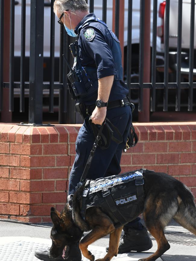 A police dog searches for Burdon. Picture: Brenton Edwards