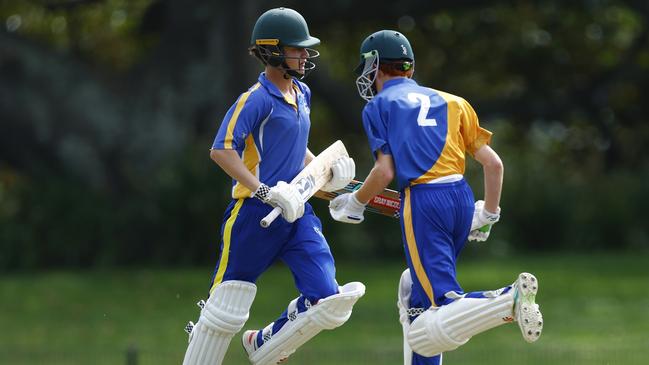 Simon Alderson and Ned Halligan batting. Picture: Michael Gorton