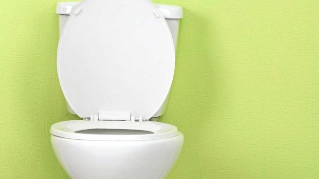 "Why is my poop green?” was one of the most searched questions on Google in 2016. Picture: serezniy