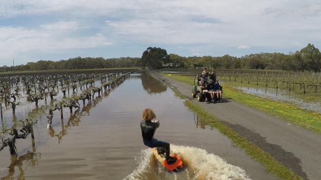 Wakeboarder Ryland Willis in the floodwaters at Lake Breeze Wines. Image courtesy of Josh Cranwell/ Lachlan and Alex Cleggett