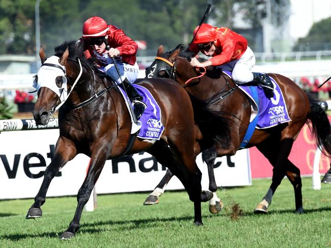 Punters seem to think the extra distance in the Australian Derby will suit Tarzino. Picture: AAP