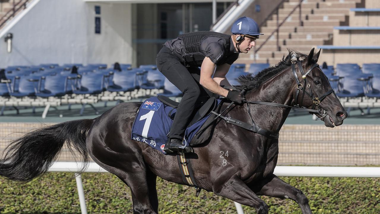 Tony Gollan’s top work rider Baylee Nothdurft has travelled to Hong Kong with Antino. Picture: Terry Hann/Atkins Photography