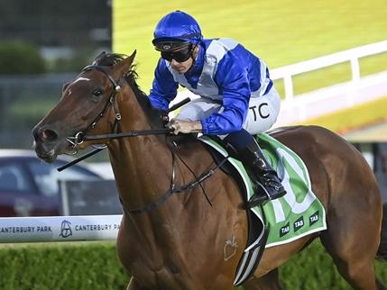 Gerringong is unbeaten after two starts in Sydney. Picture: Bradley Photos.