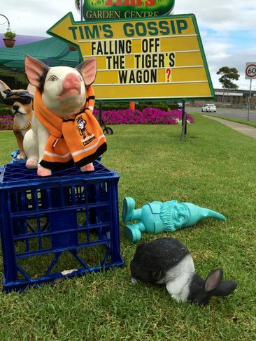 Pig expresses concerns about a lack of Tigers NRL games at Campbelltown.