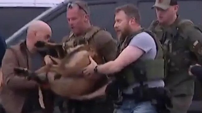 US police carry police dog after he was shot by suspect in Houston manhunt