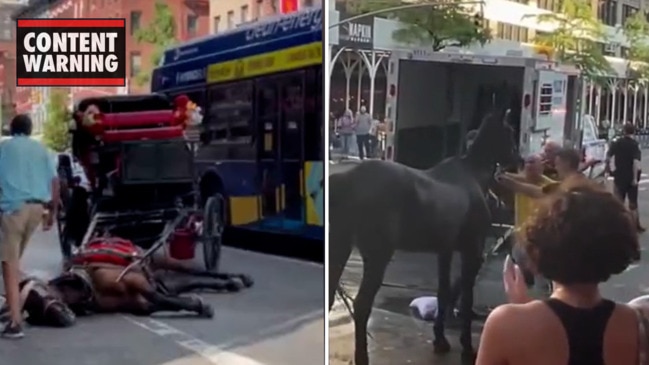 NYC carriage horse collapses