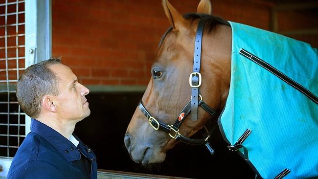 Chris Waller checks on Zoustar at his Flemington stables in Melbourne . Picture: Mark Evans