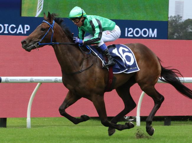 Randwick Turf Talk for Saturday: X-factor filly to cause an upset