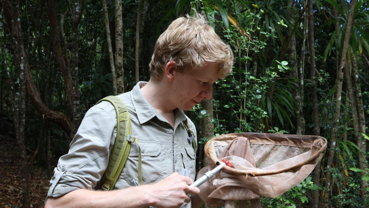 University of Queensland School of the Environment PhD candidate James Tweed has discovered a new species of Australian longhorn beetle. Picture: supplied