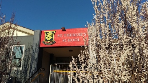 A St Therese's Primary School Essendon teacher has been suspended by the regulator.