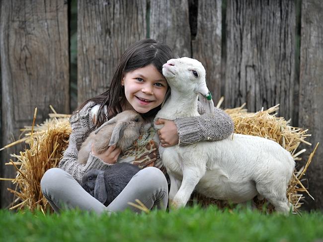 Australian Reptile Park gets warm and fuzzy, wild and scaly for Easter ...