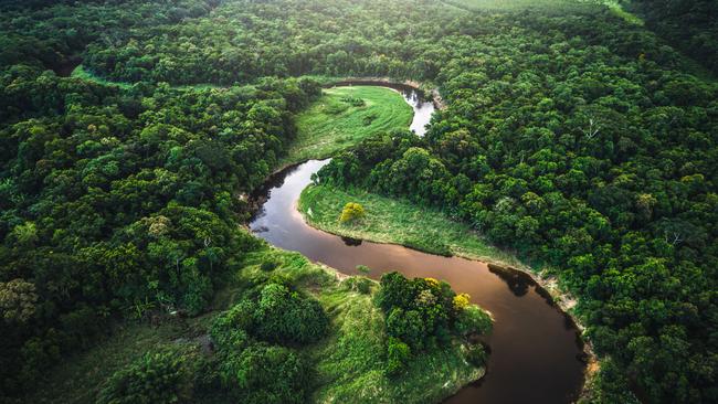 Drone Footage of the Atlantic Forest in Brazil. Credit: iStock