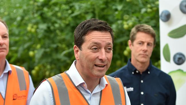 Leader of the Liberal party Matthew Guy tours a tomato greenhouse factory in Warragul, Victoria. Picture: NCA NewsWire/ Nicki Connolly