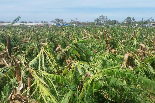 Carnarvon devastated by Cyclone Olwyn | Daily Telegraph