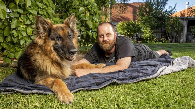 Max the german shepherd has found his forever family. Picture: Tim Carrafa