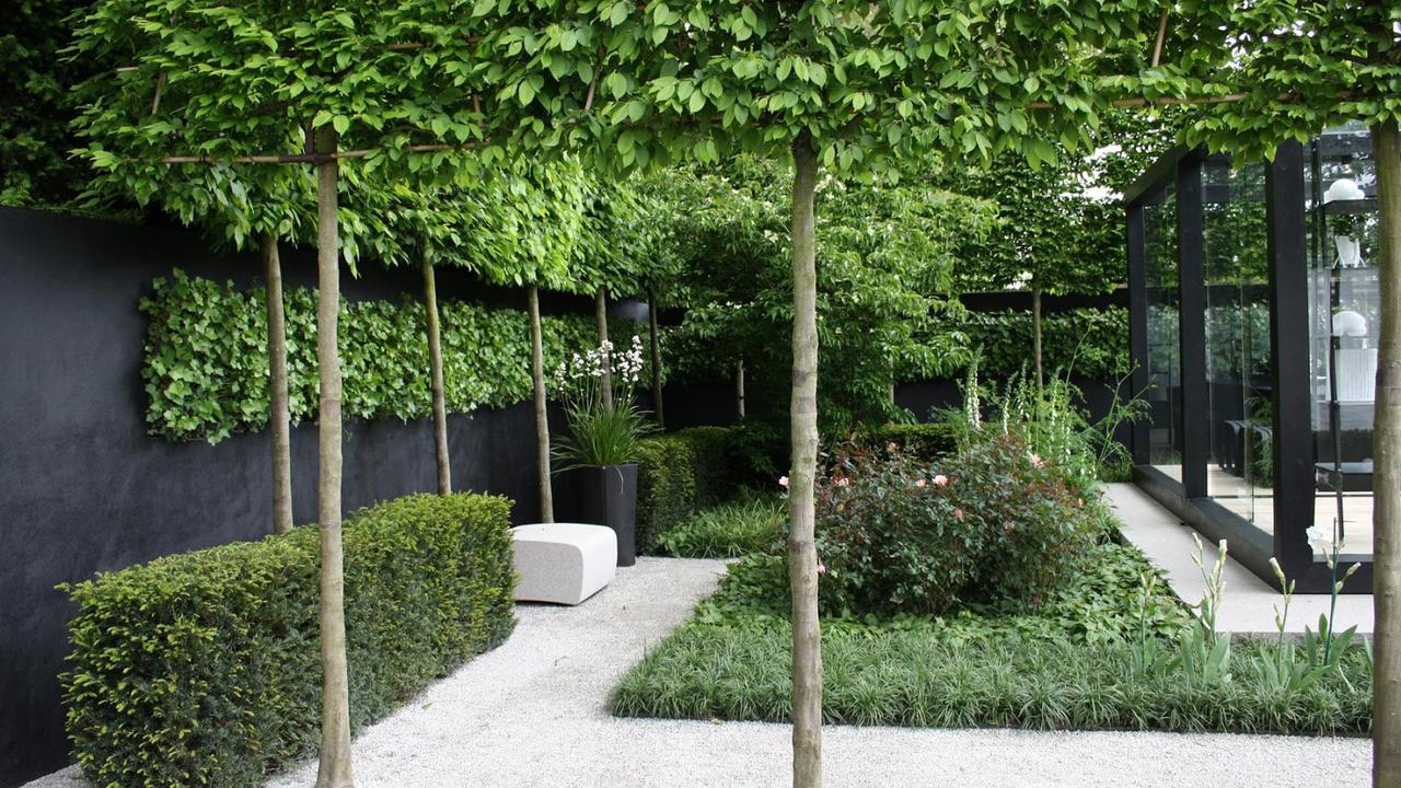 Pleached Trees Are Trees That Ian Barker Gardens Facebook, 49% OFF