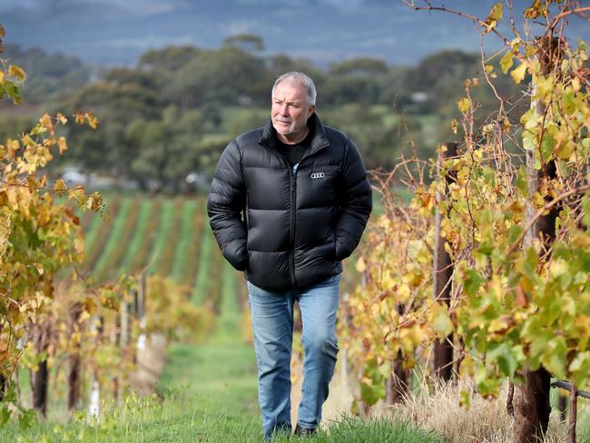 Warren Randall in one of his McLaren Vale vineyards, wants cellar doors to be able to open for business once again. 22 May 2020. Picture Dean Martin