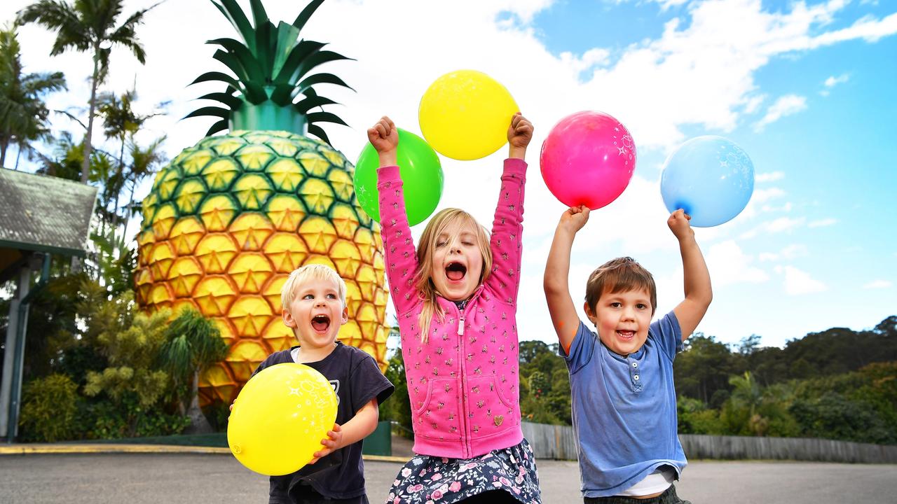 The Big Pineapple is a big attraction for kids.