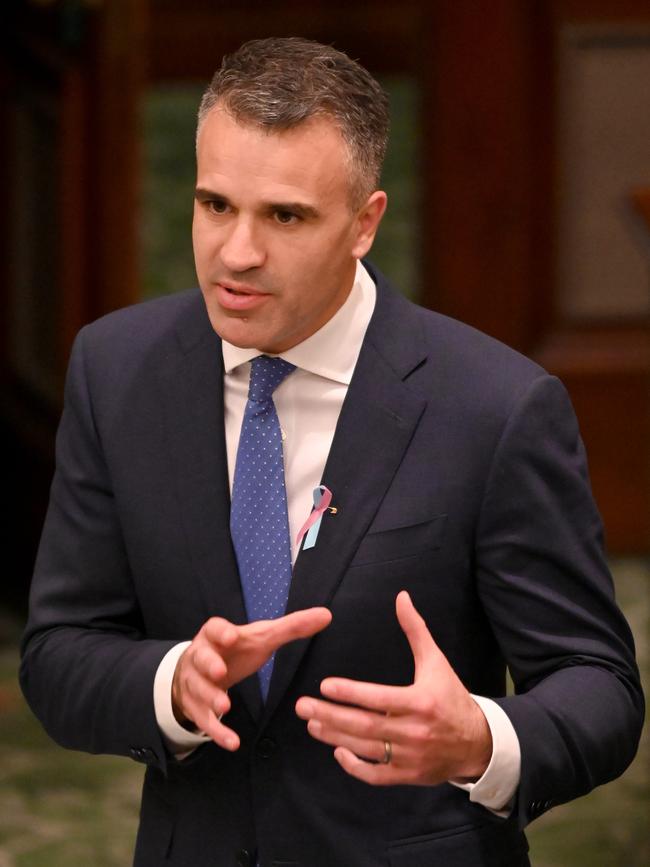 Ms Chapman claims Opposition Leader Peter Malinauskas has “no alternative” but to sack Mr Koutsantonis over his behaviour. Picture: NCA NewsWire / Naomi Jellicoe